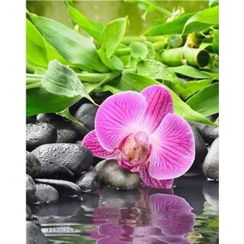 Diy 3D Diamond Painting Needlework Pasted Full Drill Diamond Embroidery Orchid Flower Diamond Mosaic Fashion Wall Decoration
Diy 3D Diamond Painting Needlework Pasted Full Drill Diamond Embroidery Orchid Flower Diamond Mosaic Fashion Wall Decoration