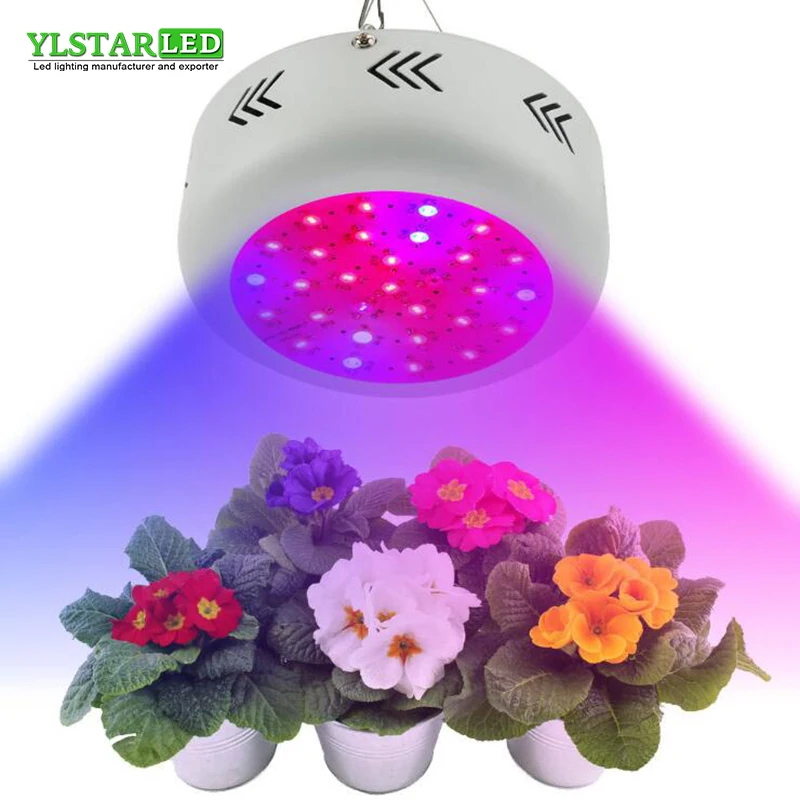 300W LED UFO Grow Light Full Spectrum Double Chips Hydroponic Flowering Plant Lamp Hanging Type Grow Lamp For Greenhouse
300W LED UFO Grow Light Full Spectrum Double Chips Hydroponic Flowering Plant Lamp Hanging Type Grow Lamp For Greenhouse