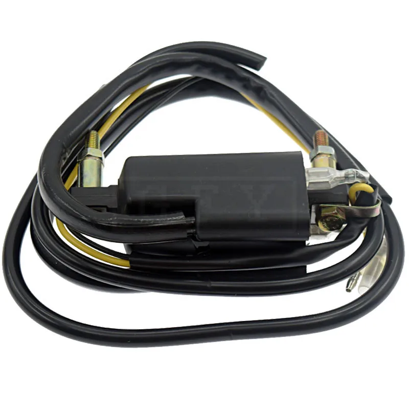 Для Kawasaki KZ400 KZ400A KZ400B KZ400C KZ400D KZ400H KZ400S KZ440 A C 12V Универсальный 4 Ом двойной выход зажигания Coilt
Для Kawasaki KZ400 KZ400A KZ400B KZ400C KZ400D KZ400H KZ400S KZ440 A C 12V Универсальный 4 Ом двойной выход зажигания Coilt