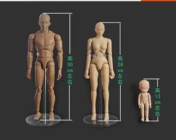 Male/female/child Animation art drawing cartoon sketch drawing human model joints dolls body figma shf model
Male/female/child Animation art drawing cartoon sketch drawing human model joints dolls body figma shf model