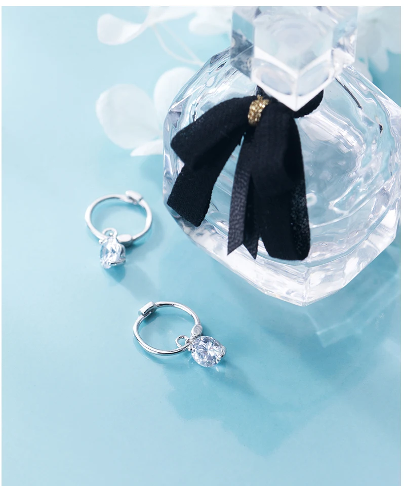 Exquisited 925 Sterling Silver Round CZ Zirconia Hoop Earrings for Women Ear Piercing Clip On Earrings Bohemia Bijoux Brincos (1)