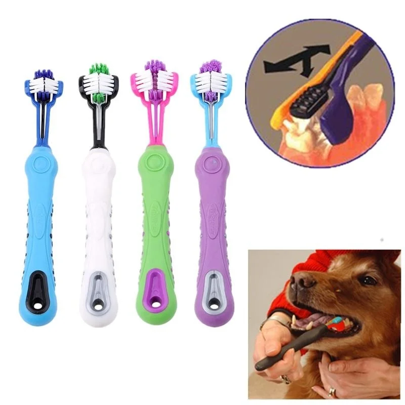 Dozzlor 1/5Pcs Pet Toothbrush Random Color Dog Cat Cleaning SuppliesTeddy Dog Brush Addition Bad Breath Tartar Teeth Care
Dozzlor 1/5Pcs Pet Toothbrush Random Color Dog Cat Cleaning SuppliesTeddy Dog Brush Addition Bad Breath Tartar Teeth Care