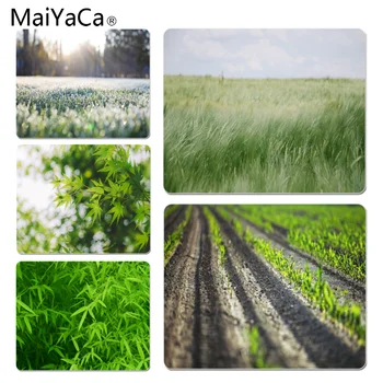 MaiYaCa Swaying grass Customized laptop Gaming mouse pad Size for 18X22CM Speed Version Gaming Mousepads
MaiYaCa Swaying grass Customized laptop Gaming mouse pad Size for 18X22CM Speed Version Gaming Mousepads