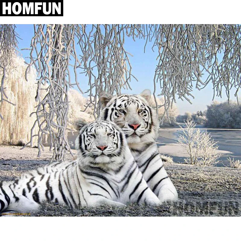 A02387 White tiger