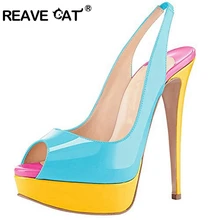 cat with high heels