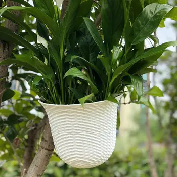 Self-service Watering Plant Flower Pot Wall Hanging Round Resin Plastic Planter Basket Garden Supply Home Garden without Hooks
Self-service Watering Plant Flower Pot Wall Hanging Round Resin Plastic Planter Basket Garden Supply Home Garden without Hooks