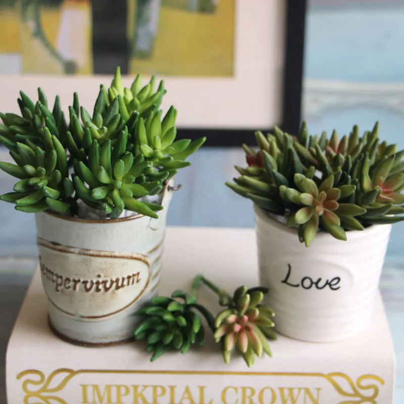 2pcs/set Artificial Succulents Mini Octopus Claw Plants Grass Desert Artificial Plant Landscape Fake Flower Home Decor A
2pcs/set Artificial Succulents Mini Octopus Claw Plants Grass Desert Artificial Plant Landscape Fake Flower Home Decor A