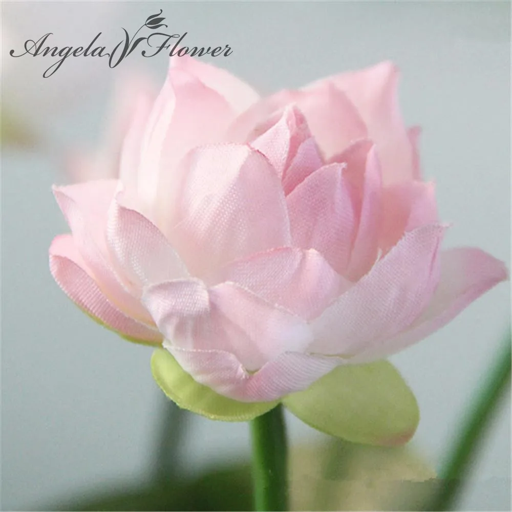 Vivid 4 colors Mini artificial lotus flower home flowerpot decoration Green plants Desktop decoration with leafs
Vivid 4 colors Mini artificial lotus flower home flowerpot decoration Green plants Desktop decoration with leafs