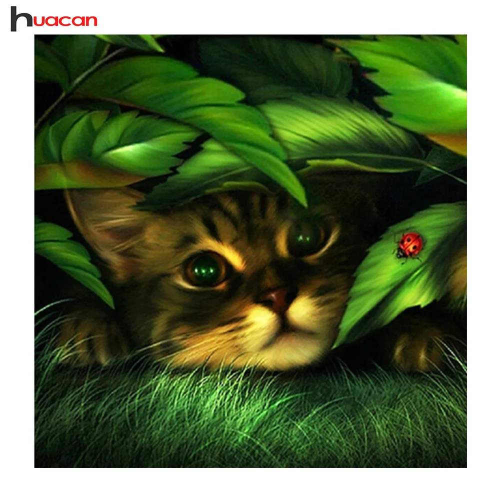 5D DIY Diamond Painting Cat Diamond Embroidery Full Square Crystal Picture of Rhinestones Diamond Mosaic Animal Home Decor
5D DIY Diamond Painting Cat Diamond Embroidery Full Square Crystal Picture of Rhinestones Diamond Mosaic Animal Home Decor