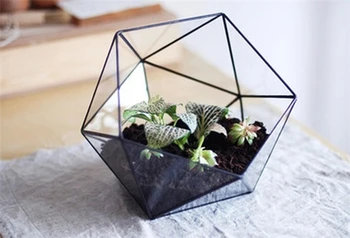 Miniature Garden in Tabletop Glass Vases,Handmade Greenhouse Desktop Geometric Terrariums and Crystal Flower Vase
Miniature Garden in Tabletop Glass Vases,Handmade Greenhouse Desktop Geometric Terrariums and Crystal Flower Vase