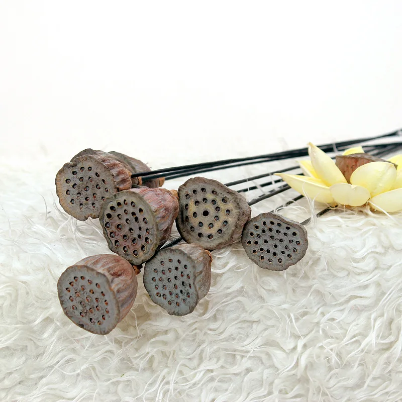 1pc Natural Dried Flowers Wild Small Lotus Home DIY Decoration Flowers Home Decoration Accessores Dry Flower Arrangements
1pc Natural Dried Flowers Wild Small Lotus Home DIY Decoration Flowers Home Decoration Accessores Dry Flower Arrangements