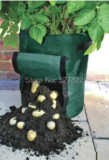 2014 New Planting Bag/ Plant Pots for Potatoes tomatoes vegetable Balcony plastic plant pots Free Shipping
2014 New Planting Bag/ Plant Pots for Potatoes tomatoes vegetable Balcony plastic plant pots Free Shipping
