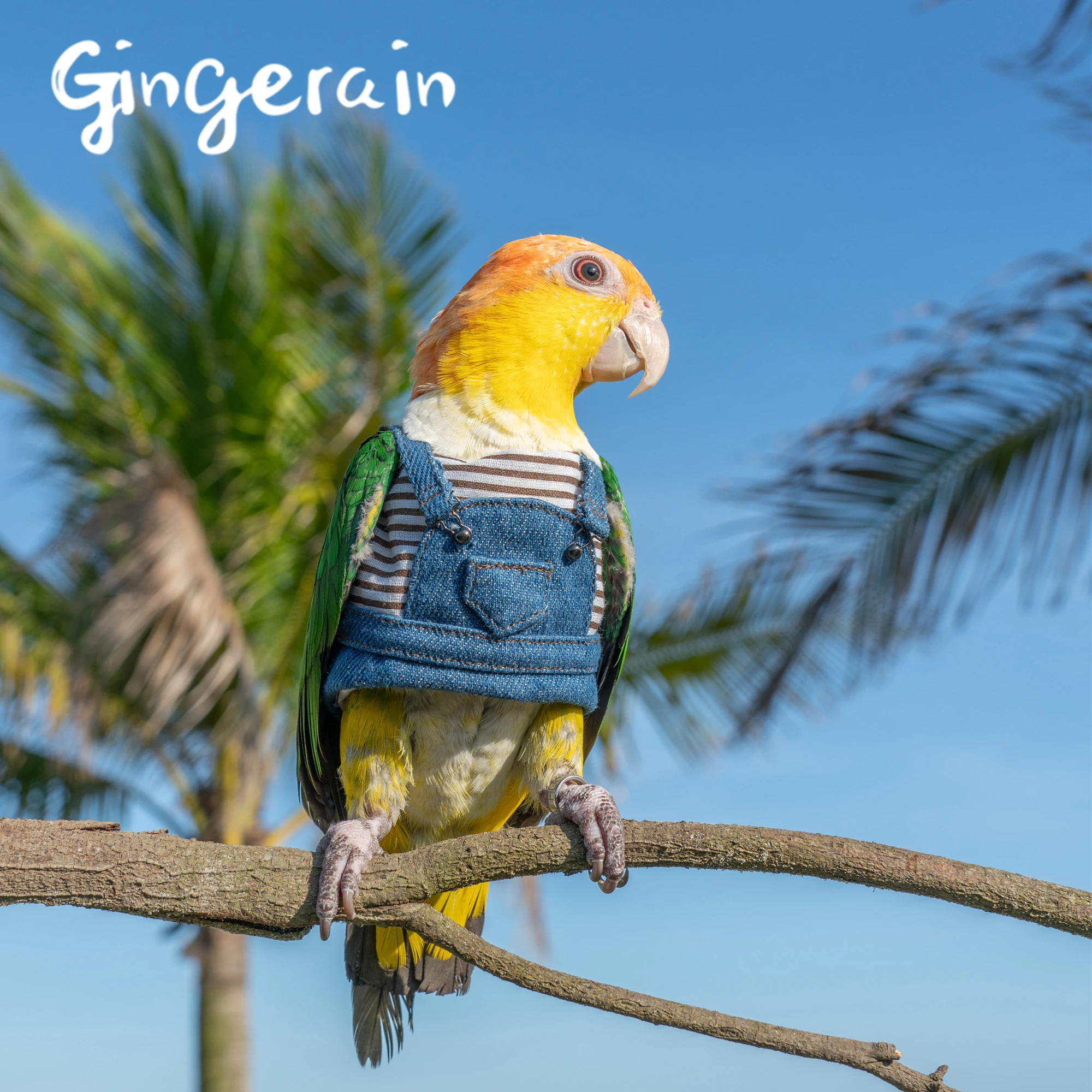 Gingerain одежда с птицами попугай кнопка рубашка оригинальная ручная работа на