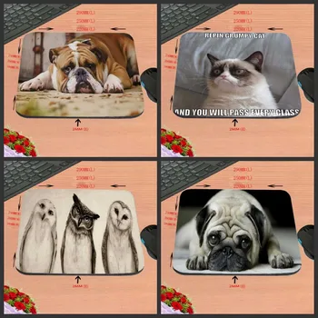 DIY Animal World Antiskid Custom Rectangular Mouse Pad Computer Computer Games To Decorate Your Desk Design As A Gift
DIY Animal World Antiskid Custom Rectangular Mouse Pad Computer Computer Games To Decorate Your Desk Design As A Gift