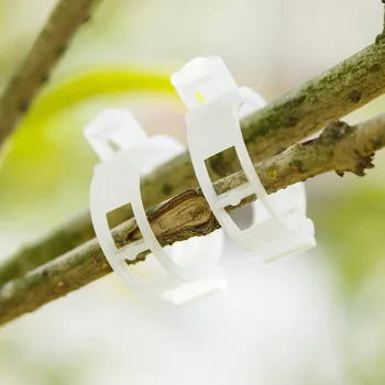 50/100pcs 30mm Plastic Plant Support Clips For Tomato Hanging Trellis Vine Connects Plants Greenhouse Vegetables Garden Ornament
50/100pcs 30mm Plastic Plant Support Clips For Tomato Hanging Trellis Vine Connects Plants Greenhouse Vegetables Garden Ornament