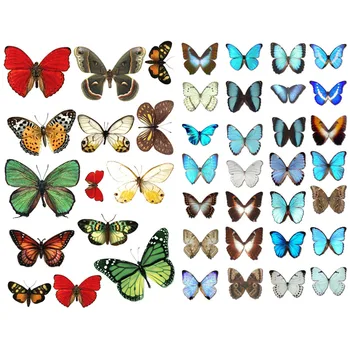 1 PCS Colorful Butterfly Cosas Kawaii Precut Stickers Scrapbooking Stationery Washi Tape Set School Supplies
1 PCS Colorful Butterfly Cosas Kawaii Precut Stickers Scrapbooking Stationery Washi Tape Set School Supplies