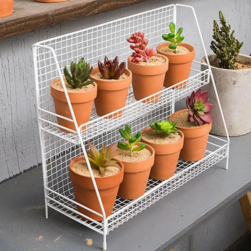 Multifunction Double Layer Plants Storage Holder & Rack for Kitchen Bathroom Desktop Organizer Display Shelf #1011
Multifunction Double Layer Plants Storage Holder & Rack for Kitchen Bathroom Desktop Organizer Display Shelf #1011