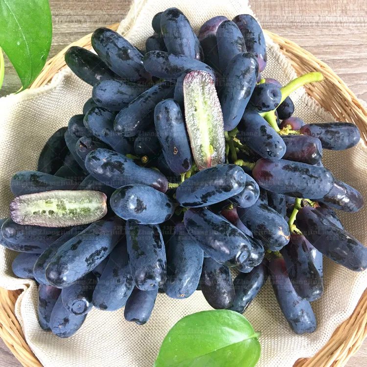 50pcs Very Rare black Grape bonsai Plants Black currant finger Non-transgenic health courtyard garden plants
50pcs Very Rare black Grape bonsai Plants Black currant finger Non-transgenic health courtyard garden plants