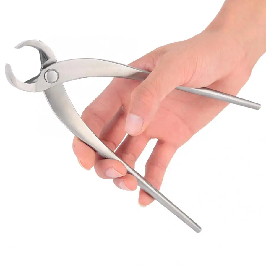 210mm Stainless Steel Round Edge Steel Garden Pruning Shears Thick Branches Cutter Scissors Bonsai Tools
210mm Stainless Steel Round Edge Steel Garden Pruning Shears Thick Branches Cutter Scissors Bonsai Tools