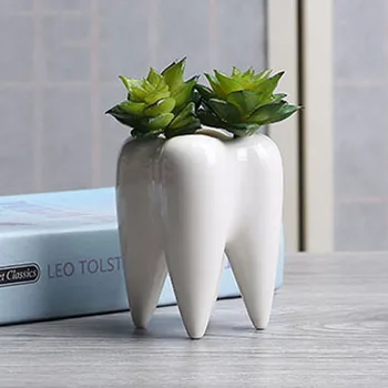 White Ceramic Fleshy Small Flowerpot Tooth Shape Table Plant Pot Culture Flower Pot Home Decoration Bonsai Pots For Green Plants
White Ceramic Fleshy Small Flowerpot Tooth Shape Table Plant Pot Culture Flower Pot Home Decoration Bonsai Pots For Green Plants