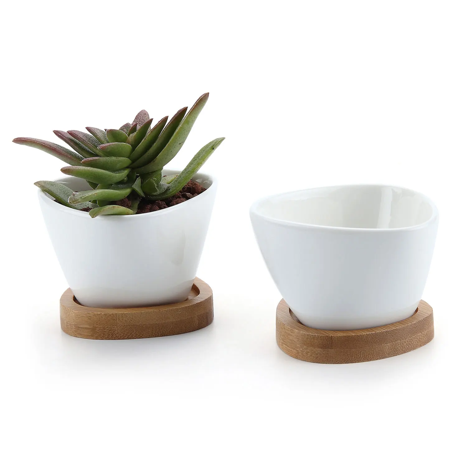 T4U 3 Inch Ceramic White Misalignment Traiangle Design succulent Plant Pot Cactus Plant Pot with Bamboo Tray 1 Pack of 2
T4U 3 Inch Ceramic White Misalignment Traiangle Design succulent Plant Pot Cactus Plant Pot with Bamboo Tray 1 Pack of 2