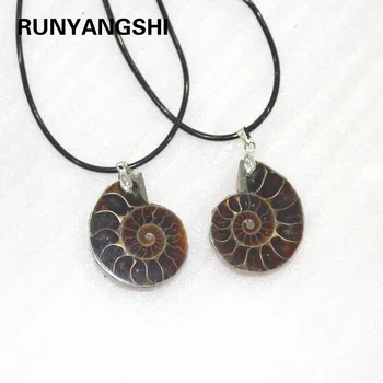 Beautiful Natural Stone Ammonite Fossils Seashell Snail Pendants Ocean Reliquiae Conch Animal Necklaces Statement Jewellery
Beautiful Natural Stone Ammonite Fossils Seashell Snail Pendants Ocean Reliquiae Conch Animal Necklaces Statement Jewellery