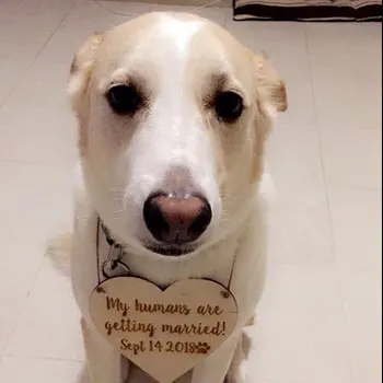Pet Sign for my humans are getting married Heart Engagement Photography,wood signs,wedding props,Dog wedding save the date sign,
Pet Sign for my humans are getting married Heart Engagement Photography,wood signs,wedding props,Dog wedding save the date sign,