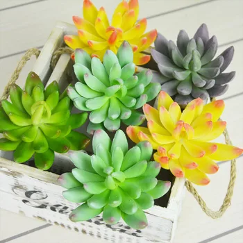 Artificial fleshiness Cactus Aloe Succulent plant louts landscape PU decorative flower home Balcony decoration
Artificial fleshiness Cactus Aloe Succulent plant louts landscape PU decorative flower home Balcony decoration