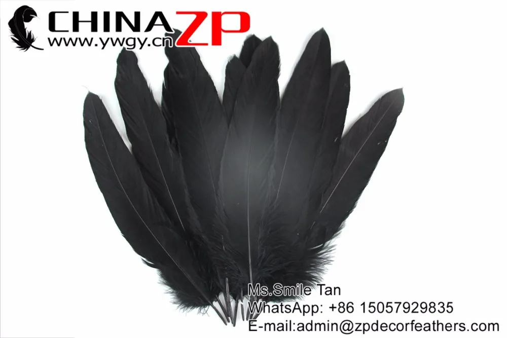 2 Black Original Eagle Feathers (2)