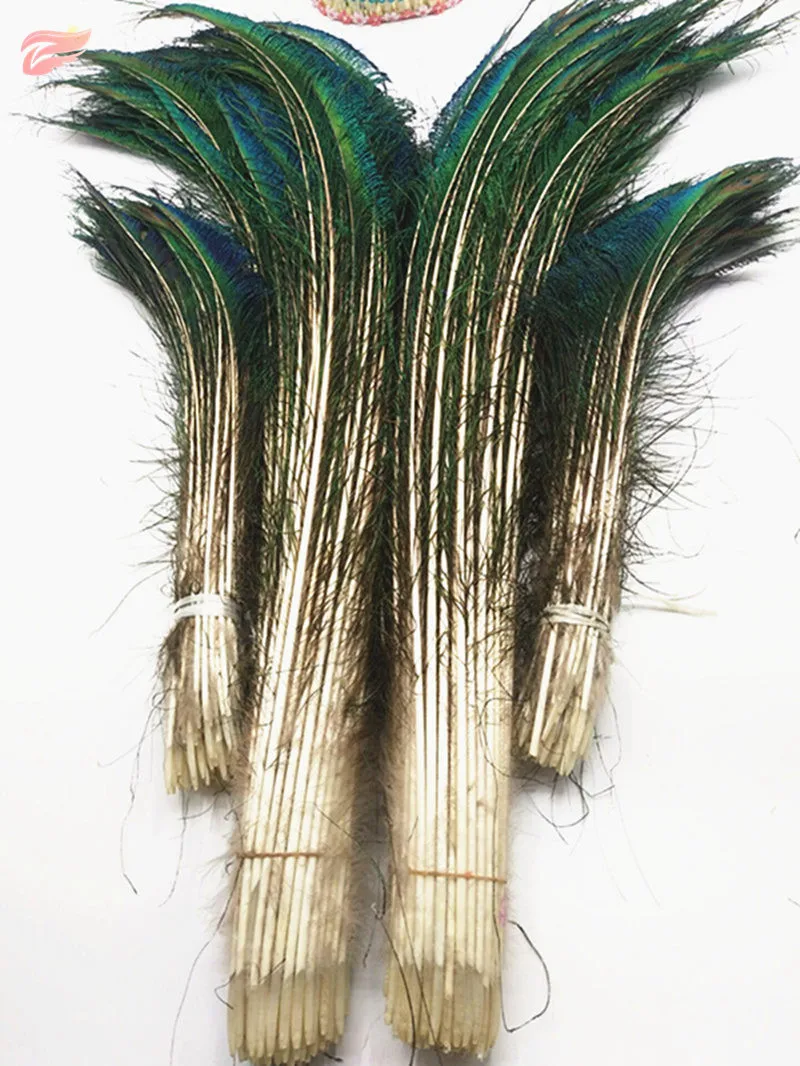Wholesale 50pcs-200pcs Premium Natural Peacock Feathers, 28-32 inches / 70-80cm DIY - Wedding, Decorative Vase
Wholesale 50pcs-200pcs Premium Natural Peacock Feathers, 28-32 inches / 70-80cm DIY - Wedding, Decorative Vase