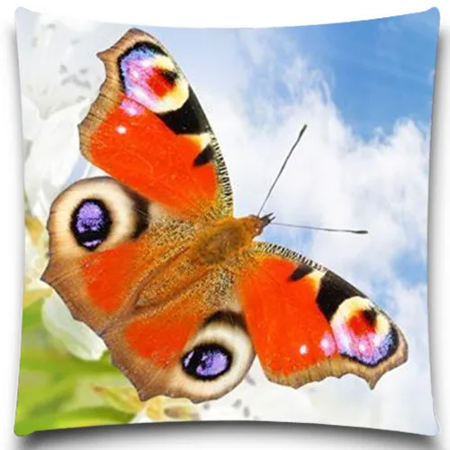 Beetle and Butterfly pattern Pillow case cotton polyester 2d Printed For Soft Throw Chair Seat home decoration Cushion cover
Beetle and Butterfly pattern Pillow case cotton polyester 2d Printed For Soft Throw Chair Seat home decoration Cushion cover