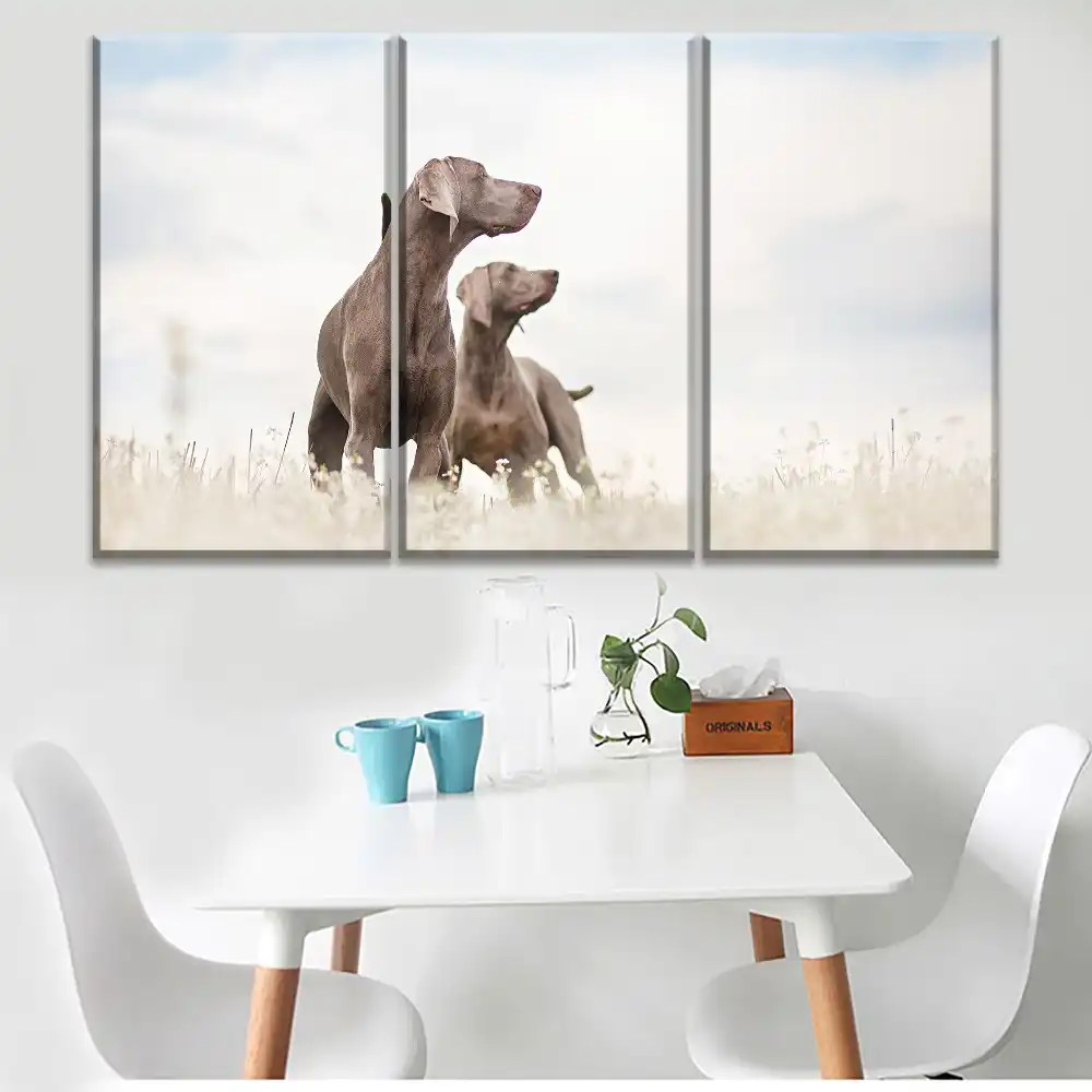 weimaraner wall art