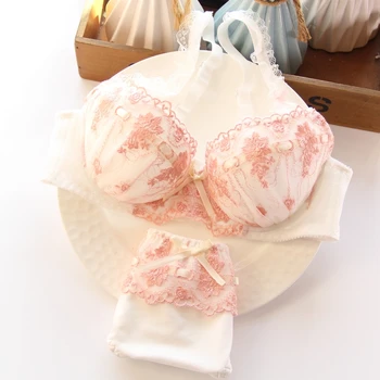 Thin Cup Kawaii Embroidery Pink Floral Lolita Style Bra and Brief Sets Sexy Bra and Panties BCDE cup
Thin Cup Kawaii Embroidery Pink Floral Lolita Style Bra and Brief Sets Sexy Bra and Panties BCDE cup