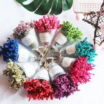 1Pcs/lot Natural Dried Flowers Mini Crystal Grass for Wedding Home Decoration DIY Craft Gifts Packing Dried Flowers Photo Props
1Pcs/lot Natural Dried Flowers Mini Crystal Grass for Wedding Home Decoration DIY Craft Gifts Packing Dried Flowers Photo Props