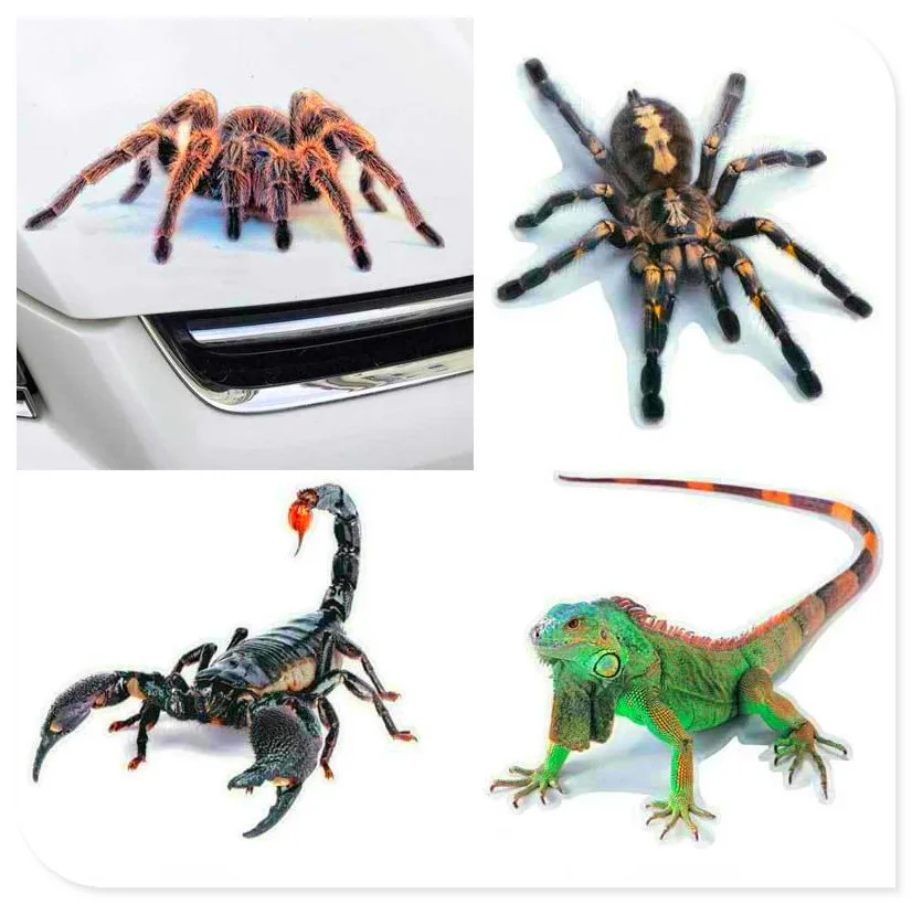 3D Car Sticker Animals Spider Gecko Scorpions Vinyl Decal for Skoda Opel DAF RAM Trucks Paccar Ford Otosan Chrysler
3D Car Sticker Animals Spider Gecko Scorpions Vinyl Decal for Skoda Opel DAF RAM Trucks Paccar Ford Otosan Chrysler