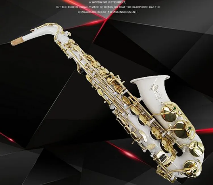 New high quality Alto Saxophone R54 Sax Professional E flat Saxofone Musical Instruments performances Free Case
New high quality Alto Saxophone R54 Sax Professional E flat Saxofone Musical Instruments performances Free Case
