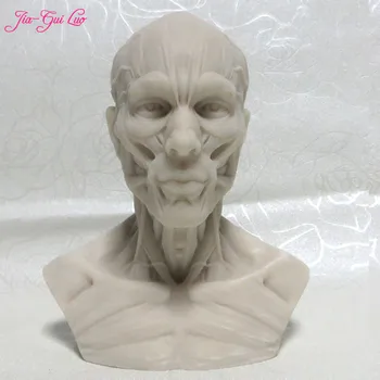 JIA-GUI LUO Resin Crafts Body Muscles Busts Heads Still Life Painting References Skulls Anatomy Models Art Busts B003
JIA-GUI LUO Resin Crafts Body Muscles Busts Heads Still Life Painting References Skulls Anatomy Models Art Busts B003