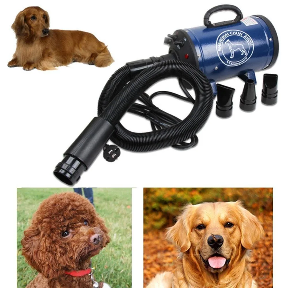 BS2400 Grooming Dryer For Dogs Low Noice Dog Dryer Strong Power Pet Dryer Stepless Speed For Drying Dogs Ship From Russia
BS2400 Grooming Dryer For Dogs Low Noice Dog Dryer Strong Power Pet Dryer Stepless Speed For Drying Dogs Ship From Russia