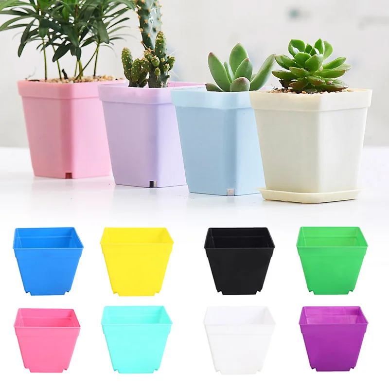 8 Color 10*10cm Multi-Meat Basin Flower Pot Colorful Mini Pot Trays Plastic Pots Soil Accessories Square Planters
8 Color 10*10cm Multi-Meat Basin Flower Pot Colorful Mini Pot Trays Plastic Pots Soil Accessories Square Planters