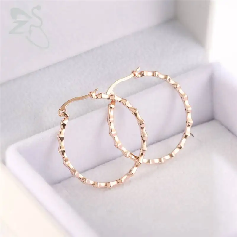earrings jewelry