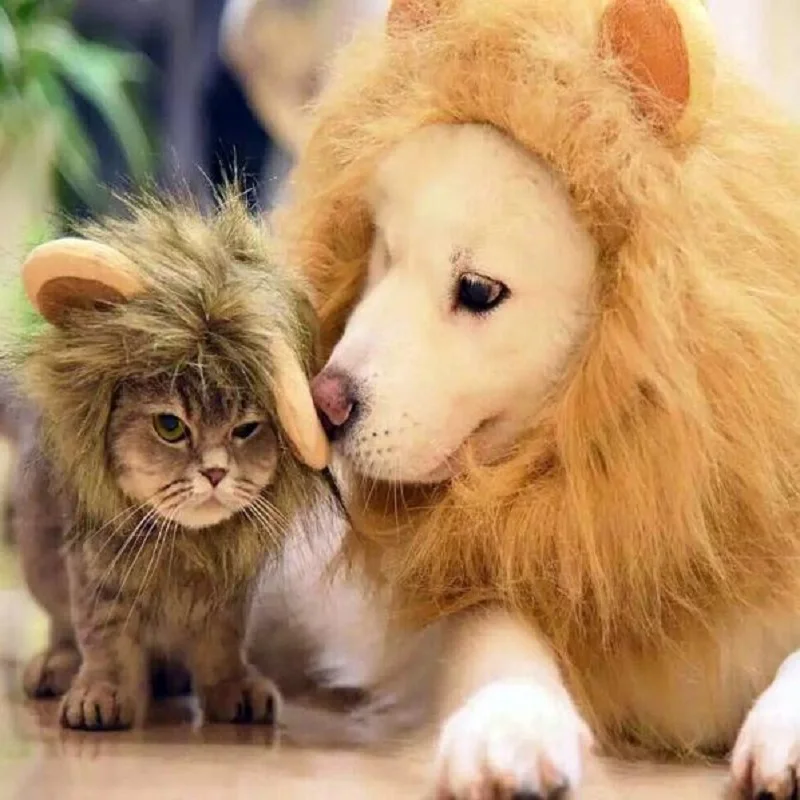 Cute Funny Cute Pet Costume Cosplay Lion Mane Wig Cap Hat for Cat Halloween Xmas Clothes Fancy Dress with Ears Autumn
Cute Funny Cute Pet Costume Cosplay Lion Mane Wig Cap Hat for Cat Halloween Xmas Clothes Fancy Dress with Ears Autumn
