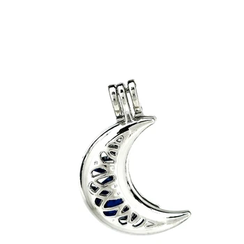 K836 5pcs/lot Silver Alloy Crescent Moon Beads Cage Pendant Fairytale Party Essential Oil Diffuser
K836 5pcs/lot Silver Alloy Crescent Moon Beads Cage Pendant Fairytale Party Essential Oil Diffuser