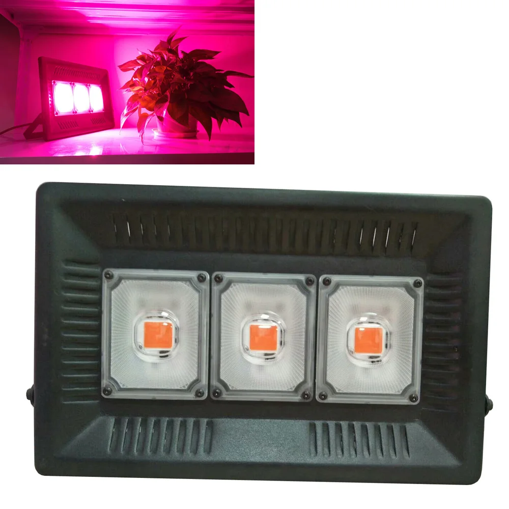 LED phyto Flood light Full Spectrum Grow Light 150W Plant Grow Lamp For Outdoor Greenhouse Hydroponic Vegetable Flower
LED phyto Flood light Full Spectrum Grow Light 150W Plant Grow Lamp For Outdoor Greenhouse Hydroponic Vegetable Flower