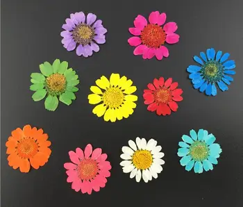 120pcs 2-2.5cm Pressed Dried Daisy Flower For Wedding Party Home Pendant Necklace Craft DIY Accessories
120pcs 2-2.5cm Pressed Dried Daisy Flower For Wedding Party Home Pendant Necklace Craft DIY Accessories