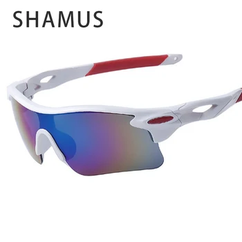 SHAMUS Sunglass With Bag HD UV400 Lense Rubber Sports Sunglasses Men's Glasses For Sports And Tour Men's Sun Glasses Wholesale
SHAMUS Sunglass With Bag HD UV400 Lense Rubber Sports Sunglasses Men's Glasses For Sports And Tour Men's Sun Glasses Wholesale