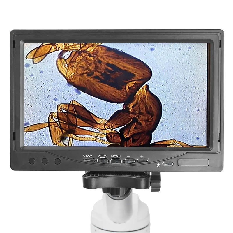 7" TFT LCD Monitor 3MP Microscope Electronic Eyepiece Universal Digital Eyepiece Easy Use Microscope Accessories Displayer 23mm
7" TFT LCD Monitor 3MP Microscope Electronic Eyepiece Universal Digital Eyepiece Easy Use Microscope Accessories Displayer 23mm