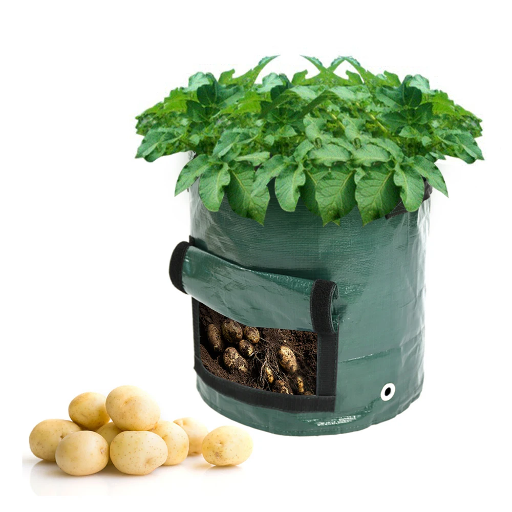 Reusable Durable Potato Planting Vegetable Grow Bag for Plants Strawberry Growing Bags Home Garden Flower Planting Bags
Reusable Durable Potato Planting Vegetable Grow Bag for Plants Strawberry Growing Bags Home Garden Flower Planting Bags
