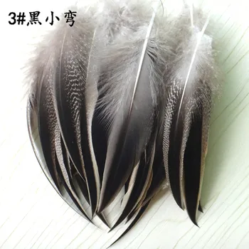 Wholesale beautiful 500pcs natural Pheasant feather 10-15cm/4-6inch DIY jewelry decoration hot selling
Wholesale beautiful 500pcs natural Pheasant feather 10-15cm/4-6inch DIY jewelry decoration hot selling