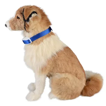 Pet Dog Cat Products Six Files Adjustable Safe Pulse Dog Training Machine
Pet Dog Cat Products Six Files Adjustable Safe Pulse Dog Training Machine