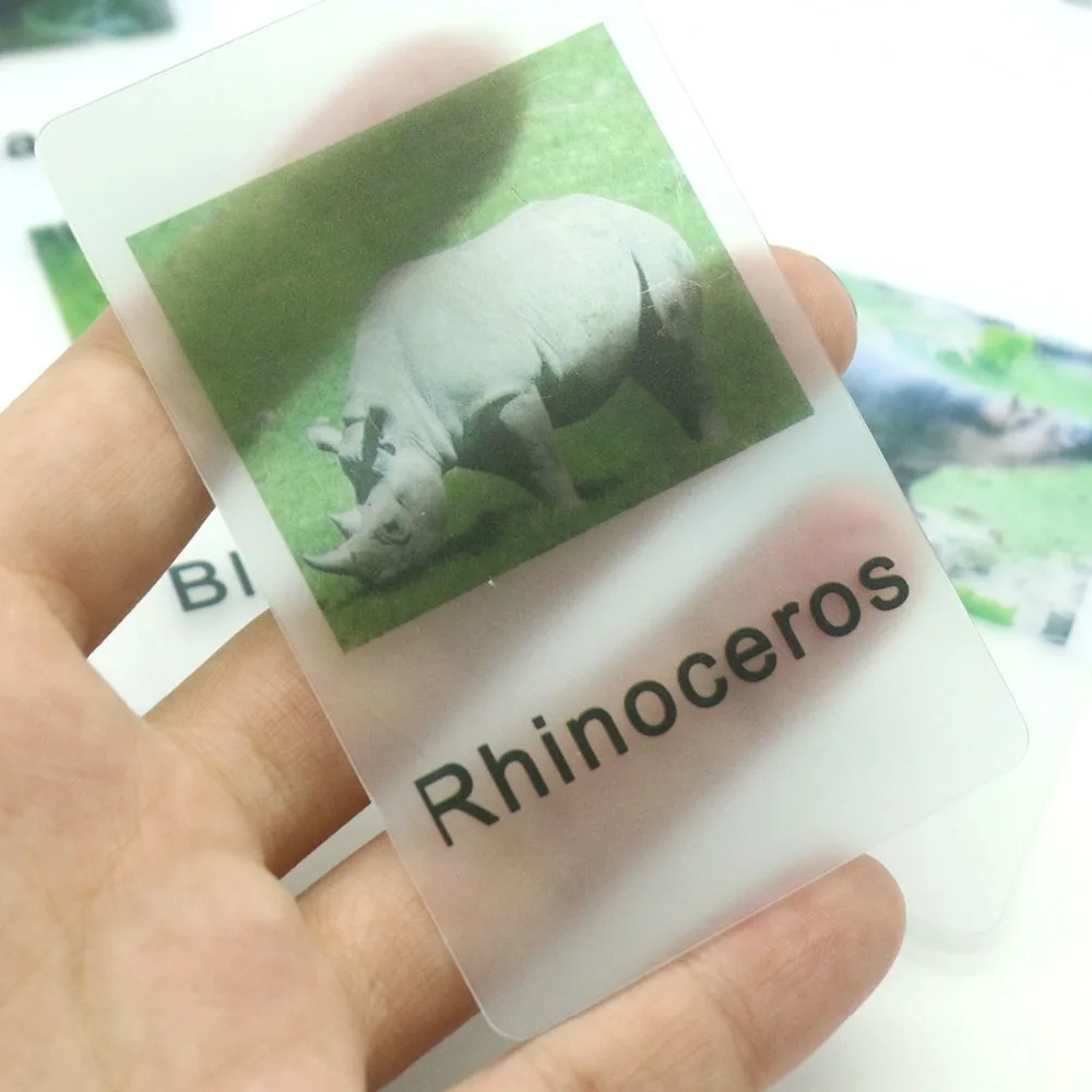 forest-animal-4